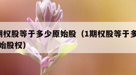 1期权股等于多少原始股（1期权股等于多少原始股权）