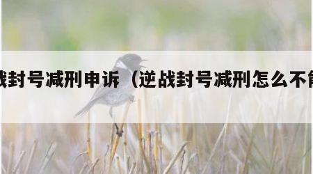 逆战封号减刑申诉（逆战封号减刑怎么不能用了）