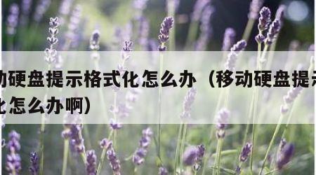 移动硬盘提示格式化怎么办（移动硬盘提示格式化怎么办啊）