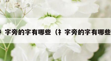 衤字旁的字有哪些（礻字旁的字有哪些）