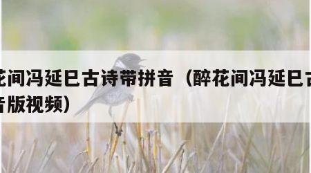 醉花间冯延巳古诗带拼音（醉花间冯延巳古诗拼音版视频）