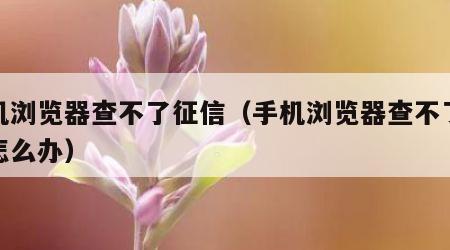 手机浏览器查不了征信（手机浏览器查不了征信怎么办）
