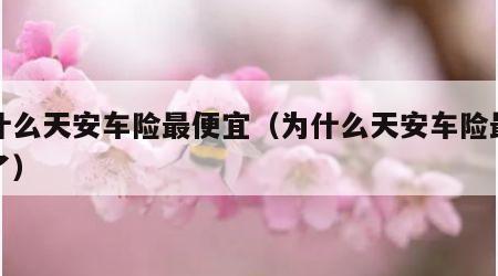 为什么天安车险最便宜（为什么天安车险最便宜了）