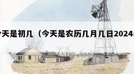 今天是初几（今天是农历几月几日2024年）