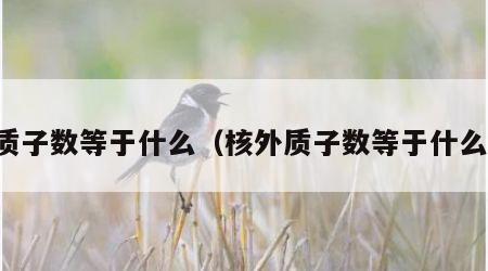 质子数等于什么（核外质子数等于什么）