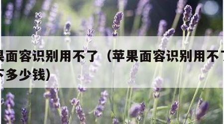 苹果面容识别用不了（苹果面容识别用不了修一下多少钱）