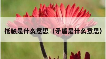 抵触是什么意思（矛盾是什么意思）