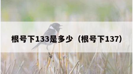 根号下133是多少（根号下137）