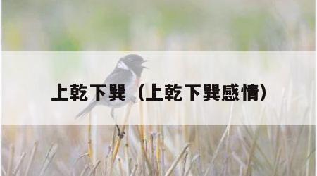 上乾下巽（上乾下巽感情）