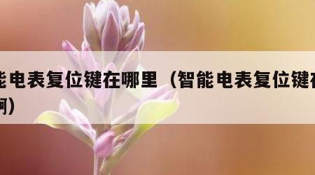 智能电表复位键在哪里（智能电表复位键在哪里啊）