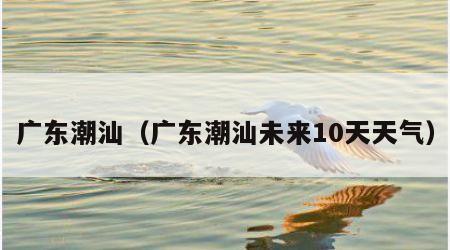 广东潮汕（广东潮汕未来10天天气）