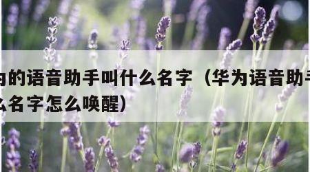 华为的语音助手叫什么名字（华为语音助手叫什么名字怎么唤醒）