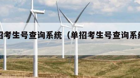 单招考生号查询系统（单招考生号查询系统入口）