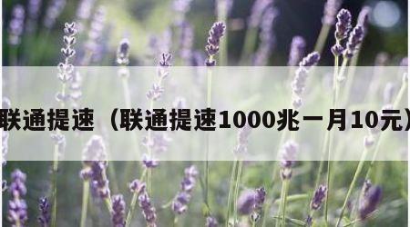 联通提速（联通提速1000兆一月10元）