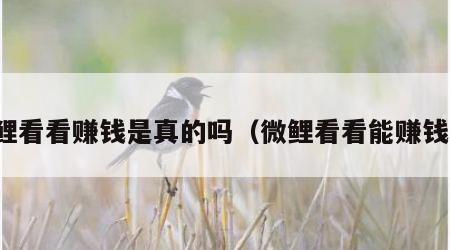 微鲤看看赚钱是真的吗（微鲤看看能赚钱吗）