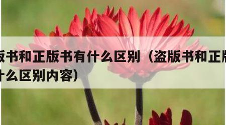 盗版书和正版书有什么区别（盗版书和正版书有什么区别内容）