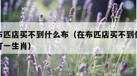 在布匹店买不到什么布（在布匹店买不到什么布打一生肖）