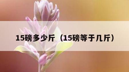 15磅多少斤（15磅等于几斤）