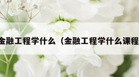 金融工程学什么（金融工程学什么课程）