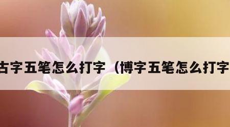 古字五笔怎么打字（博字五笔怎么打字）