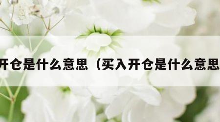 开仓是什么意思（买入开仓是什么意思）