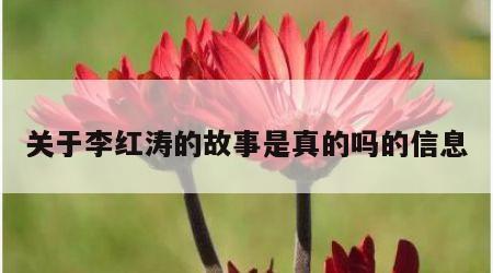关于李红涛的故事是真的吗的信息