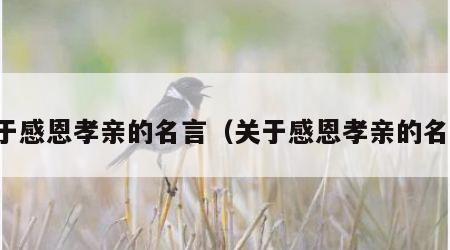 关于感恩孝亲的名言（关于感恩孝亲的名言）