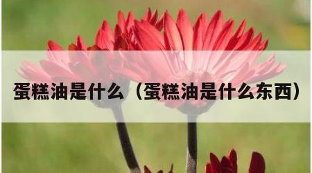 蛋糕油是什么（蛋糕油是什么东西）