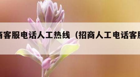 招商客服电话人工热线（招商人工电话客服电话）