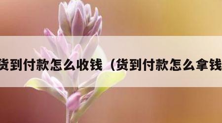 货到付款怎么收钱（货到付款怎么拿钱）