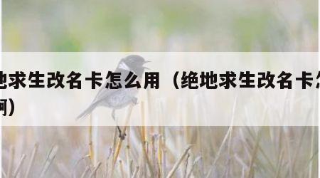 绝地求生改名卡怎么用（绝地求生改名卡怎么用啊）