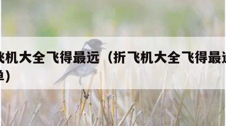 折飞机大全飞得最远（折飞机大全飞得最远又简单）