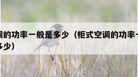 空调的功率一般是多少（柜式空调的功率一般是多少）