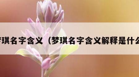 梦琪名字含义（梦琪名字含义解释是什么）