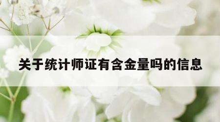 关于统计师证有含金量吗的信息