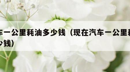 汽车一公里耗油多少钱（现在汽车一公里耗油多少钱）