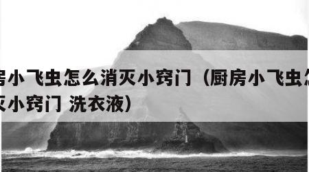 厨房小飞虫怎么消灭小窍门（厨房小飞虫怎么消灭小窍门 洗衣液）