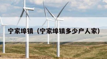宁家埠镇（宁家埠镇多少户人家）