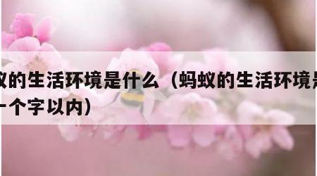 蚂蚁的生活环境是什么（蚂蚁的生活环境是什么十个字以内）