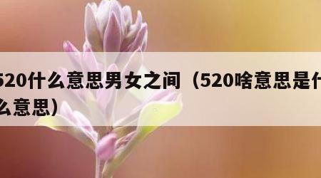 520什么意思男女之间（520啥意思是什么意思）