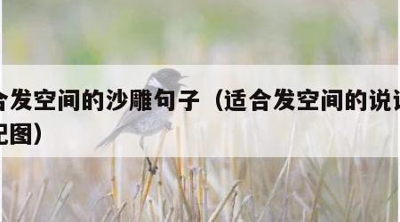 适合发空间的沙雕句子（适合发空间的说说沙雕配图）
