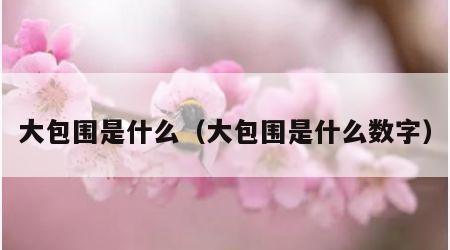 大包围是什么（大包围是什么数字）