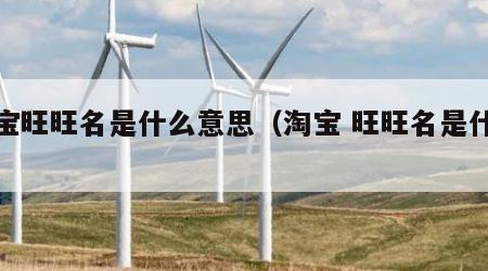淘宝旺旺名是什么意思（淘宝 旺旺名是什么）