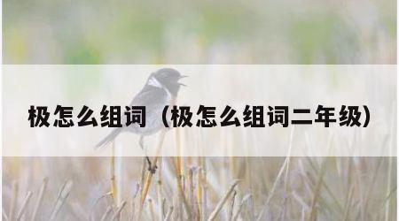 极怎么组词（极怎么组词二年级）