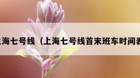 上海七号线（上海七号线首末班车时间表）