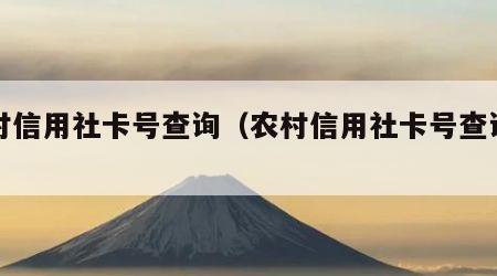 农村信用社卡号查询（农村信用社卡号查询方法）