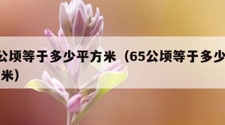 5公顷等于多少平方米（65公顷等于多少平方米）