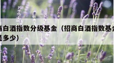 招商白酒指数分级基金（招商白酒指数基金净值是多少）