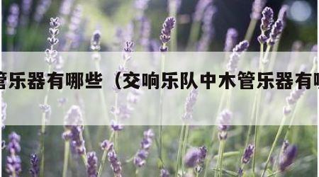 木管乐器有哪些（交响乐队中木管乐器有哪些）