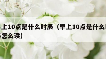 早上10点是什么时辰（早上10点是什么时辰怎么读）